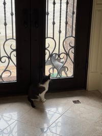 Image (1)-Dec-30-2025-08-33-44-0635-PM