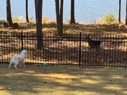 Image (2)-Nov-11-2025-08-52-53-3239-PM