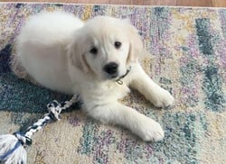 Image-Dec-16-2025-08-43-59-0282-PM