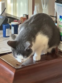 Image-Dec-30-2025-08-33-44-0817-PM