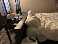 Image-Mar-17-2026-07-43-05-7352-PM